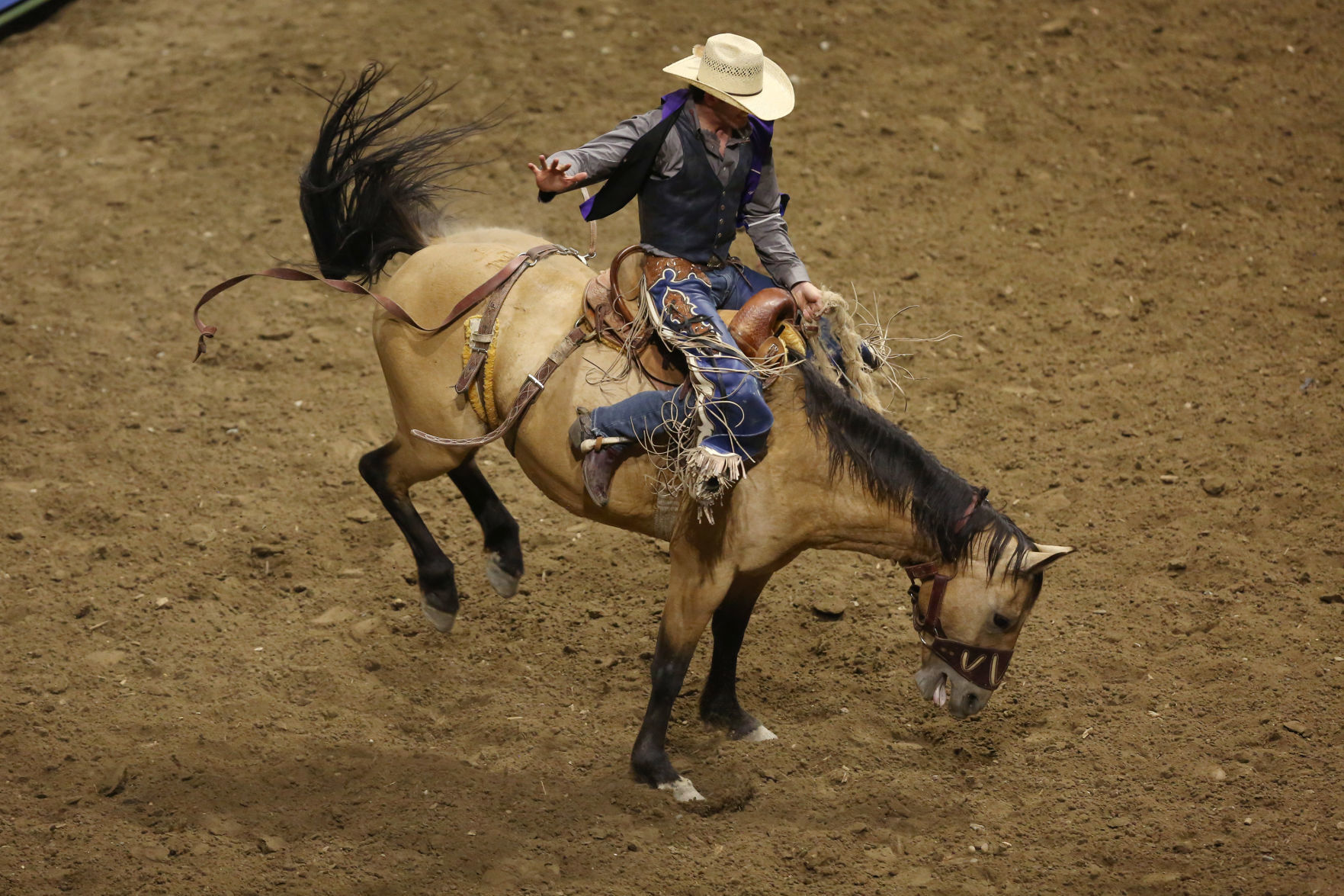 CNFR